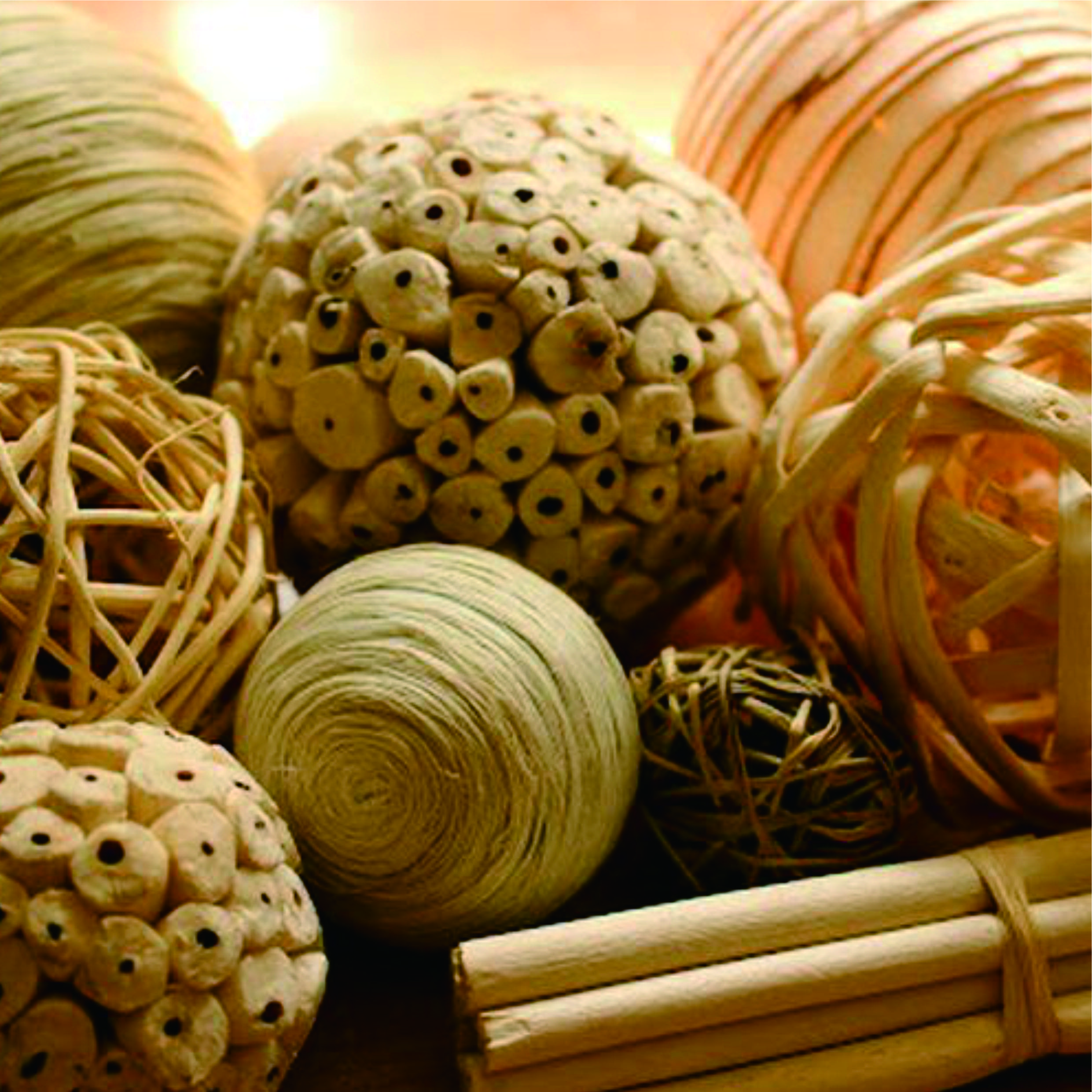 Rotan